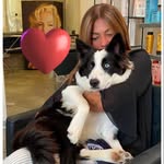 Lisa Gaudio - @gaudiolisa - Instagram