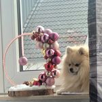 Lisa Gerhard - @sweet_present95 - Instagram