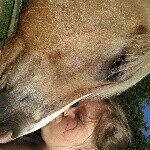 lisa_germann - @lisa_germann - Instagram
