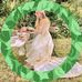 Lisa Gwinner - Facebook