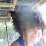 Lisa Gibney - @gibnelo1 - Instagram