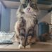 Lizzy Gibney - Facebook
