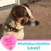 Lisa Gilkey - Facebook