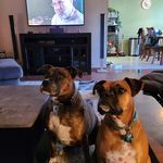 Lisa Gingerich-Tobey - @tobeygirl8 - Instagram
