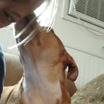 Lisa Gish Moyer - @gishmo310 - Instagram