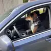 Lisa Gladys - @lisa.gladys6689443 - TikTok