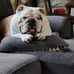 Lisa Goodsell - Facebook