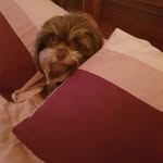 Lisa Goss - @lisagoss72 - Instagram