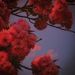 𝓛𝓲𝓼𝓪 𝓖𝓸𝓼𝓼 - @goss_liza_ - Instagram
