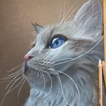 Lisa Gratton - @pergratt - Instagram