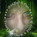 Lisa McKinstry Greeson - Facebook