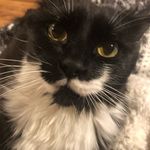 Lisa Gregorio - @too_slysly - Instagram