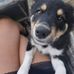 Lucie Grenier - Facebook
