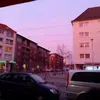 Lisa - @lisagreulich3 - TikTok