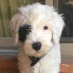 Lisa Astuto Gribble - @lisa.a.gribble - Instagram