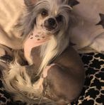 Lisa Gribble - Facebook