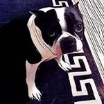 Lisa Grim - @grim7795 - Instagram