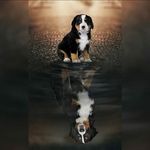 Lisa Grunwald - @grunwald5581 - Instagram