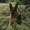 Lisa Guay948 - @lisaguay - TikTok
