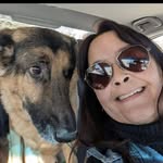 Lisa Guay - @guaylisa - Instagram