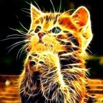 Lisa Guay-Kamerman - @tweetypie2 - Instagram