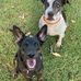 Lisa Gullo - Facebook