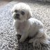 Lisa Gurr - Facebook