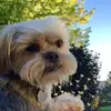 Lisa Hack - @lisah65 - TikTok
