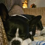 Lisa Hackler - @lisa.hackler_67 - Instagram