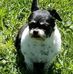 Lisa Hackman - Facebook