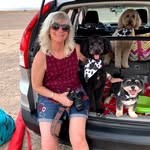 Lisa Hackman Reynolds - @lisahreynolds - Instagram