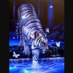Lisa Hackney - @lisahackney4851 - Instagram