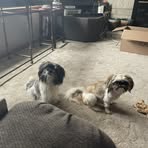 Lisa Hackney - Facebook