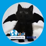 Lisa Hadfield - Facebook