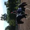 lisavalentina5290 - @lisahafner - TikTok