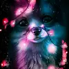 rolinaaaa - @lisahafner2005 - TikTok