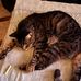 Lisa Hagerman - Facebook
