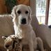 Lisa Hagerman-Brittain - Facebook