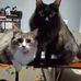 Lisa S Hagerman - Facebook