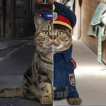 Lisa Halbach - @lisahalbach - Instagram