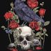 Louise Hardacre - Facebook