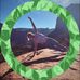 Lisa Olson Halladay - Facebook