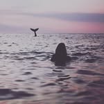 Lisa Hallgren - @lisahaallgren - Instagram