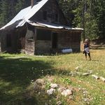 Lisa Hambleton - @lisa_hambleton - Instagram
