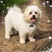 Lisa Hambleton - Facebook