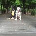 Lisa Hambleton - Facebook