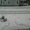 Lisa Hamler - @lisa.hamler - TikTok