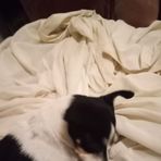 Lisa Hammack - Facebook