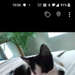 Lisa Hammack - @lisasixtythree - Instagram