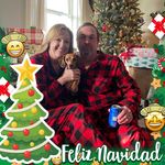 Lisa Hammack - @lisahammack - Instagram